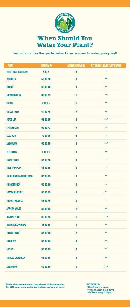 moisture meter chart for alocasia|alocasia plant care instructions.